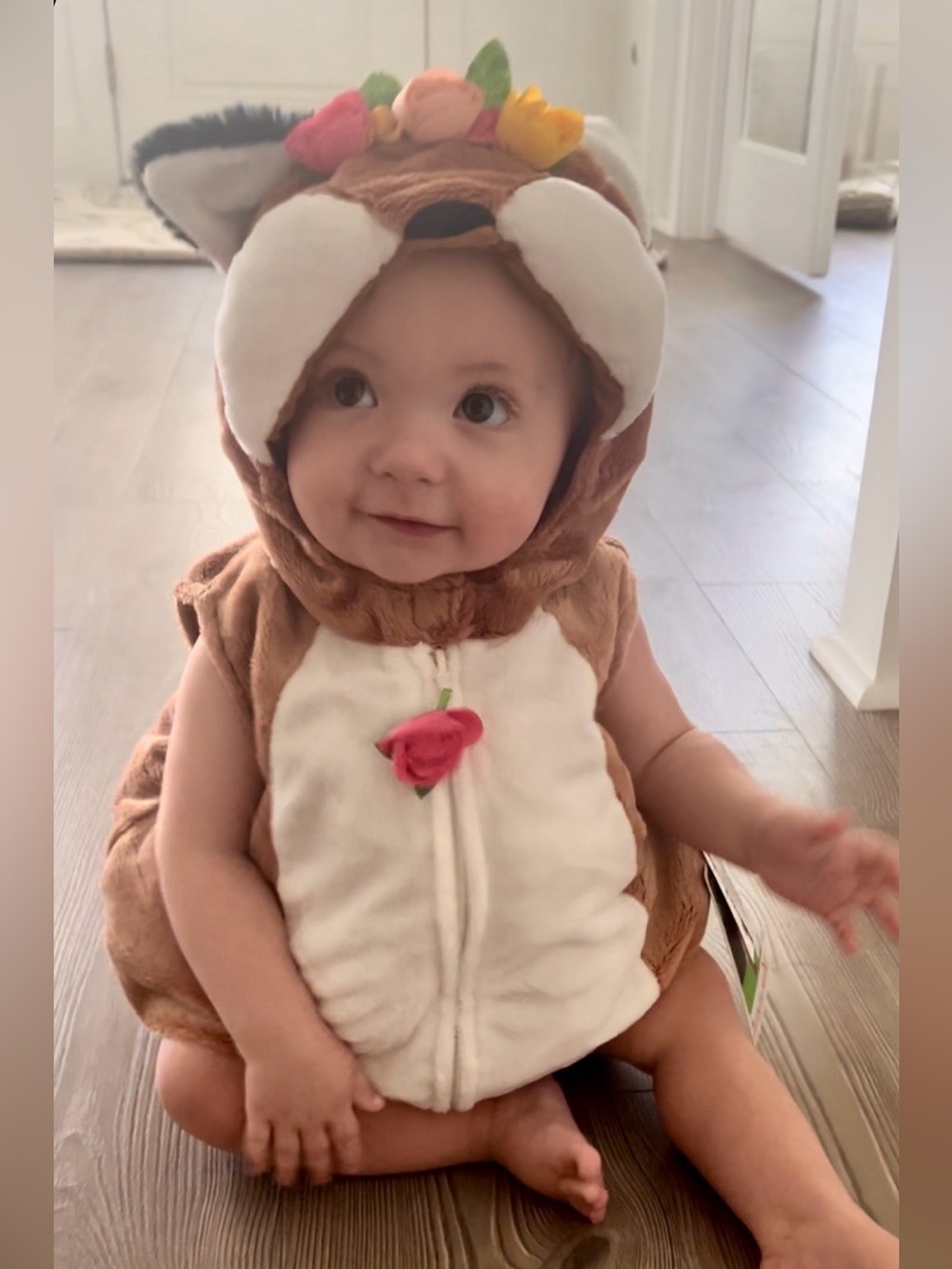 Toddler chipmunk halloween costume